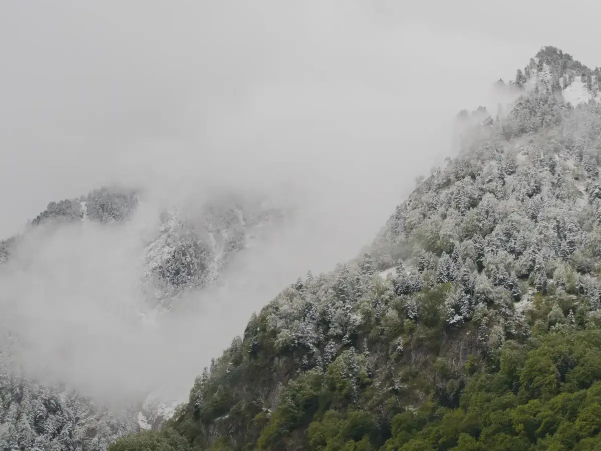 La limite pluie neige visible dans les sapins
