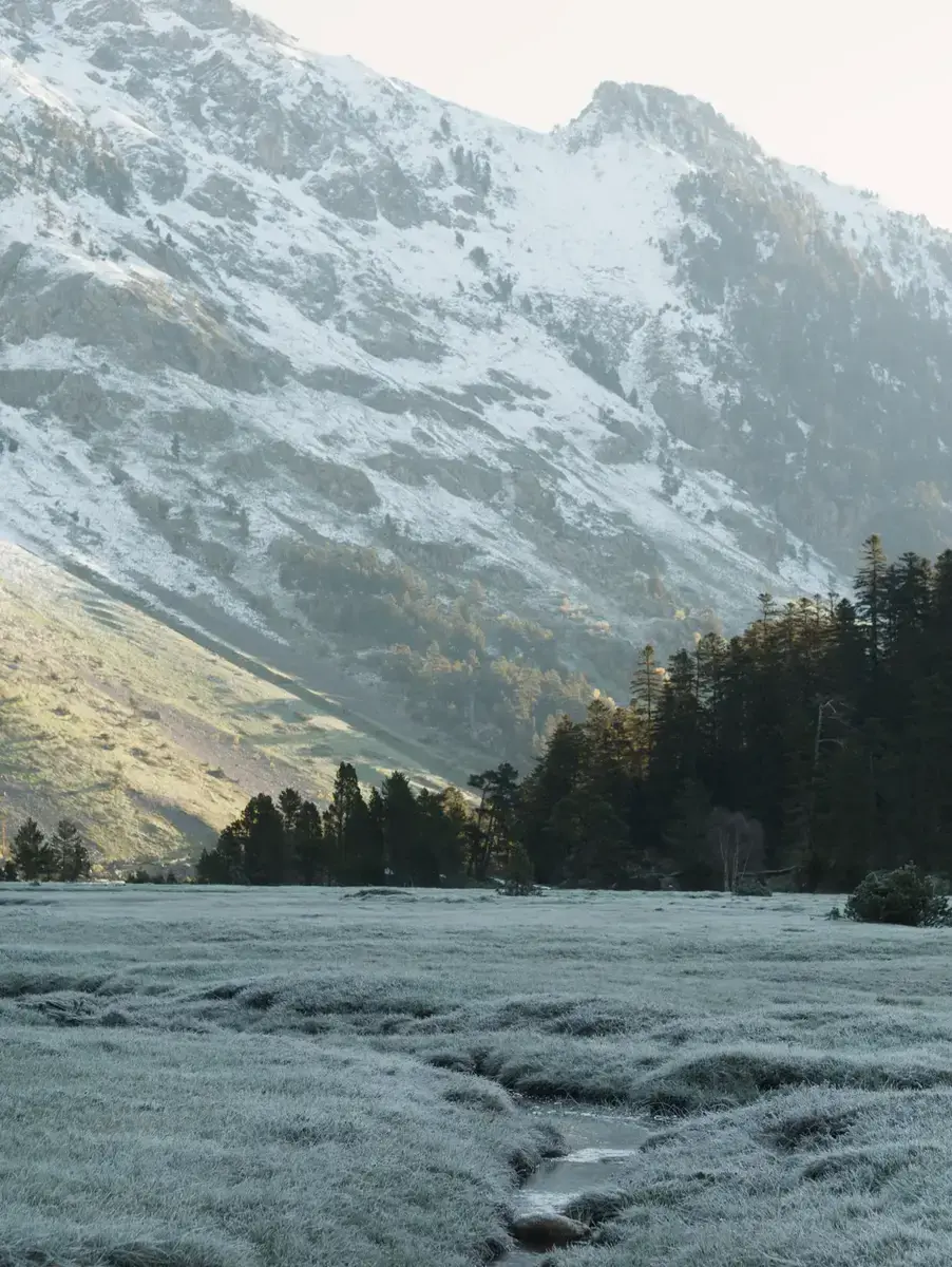 Le lac du paradis, ,n'est plus un lac mais une tourbière