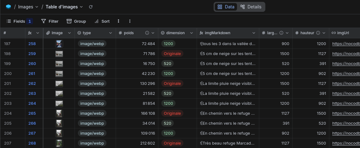 nocoDB, gestion des images en mode table