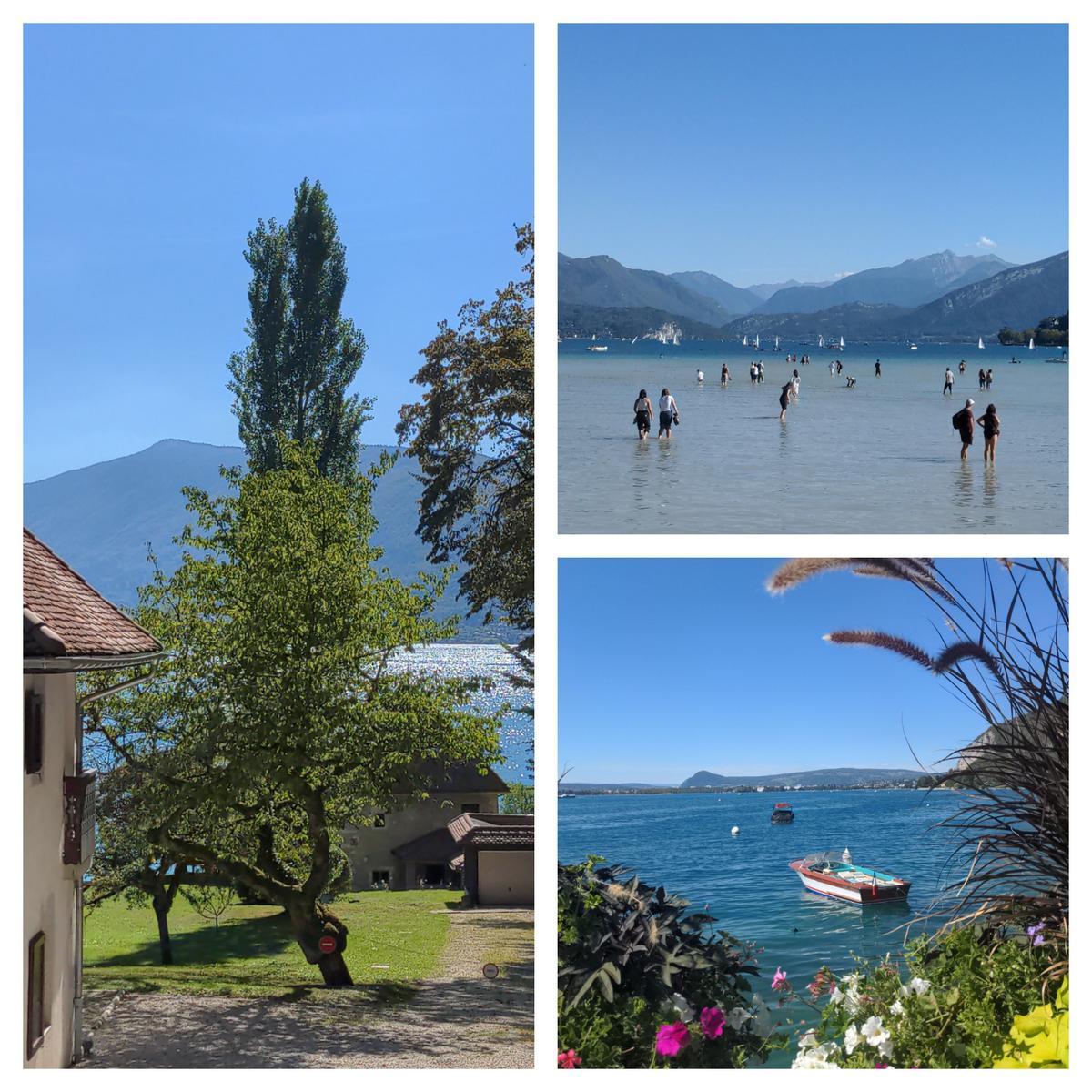 Le lac lac d'Annecy vu des berges de Veyrier du lac. Un petit bateau en bois, style Riva, au mouillage avec des jolies fleurs au premier plan
